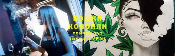 сатива Бронницы