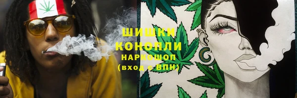 мдпв Бородино