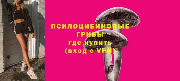 сатива Бронницы
