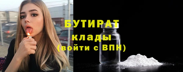 мдпв Бородино