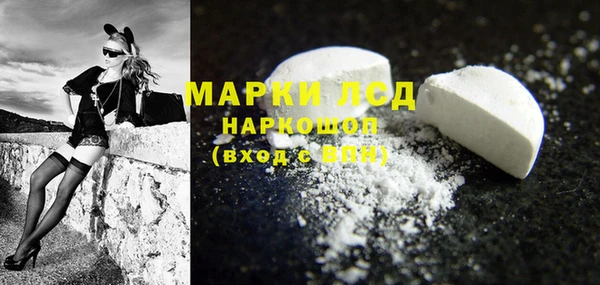 сатива Бронницы