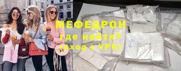 мдпв Бородино