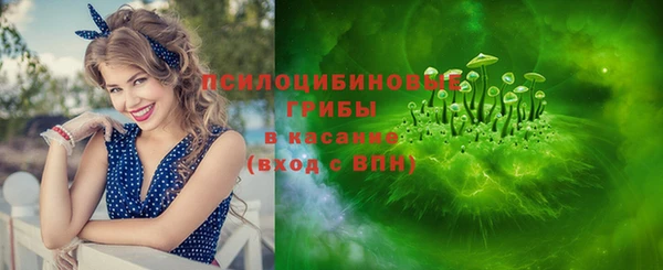 сатива Бронницы