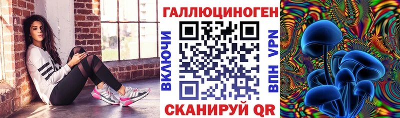 Псилоцибиновые грибы мухоморы Губкинский